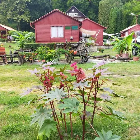 Mecsek Viragai Lak 아파트 *