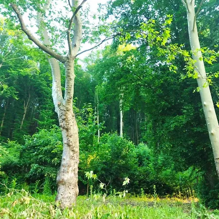 Apartament Mecsek Viragai Lak *