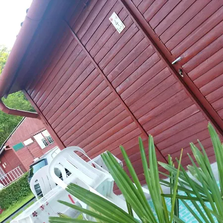 Mecsek Viragai Lak *